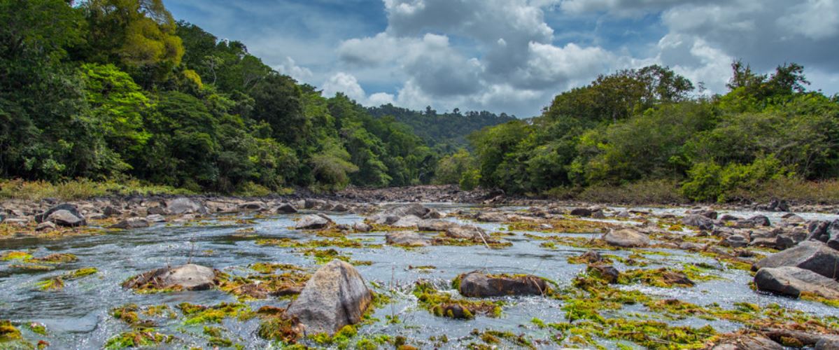 suriname reis