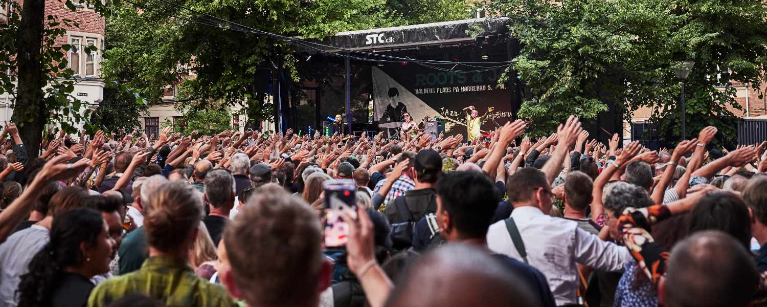 Roots & Jazz crowd