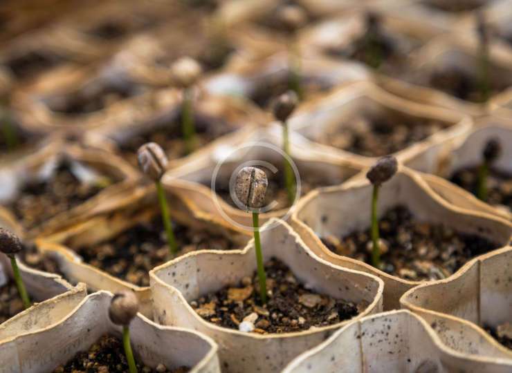 30 Brilliant Garden Edging Ideas You Can Do At Home