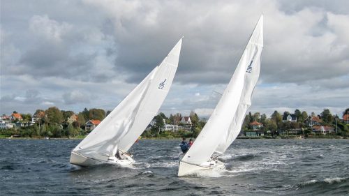 Match Race