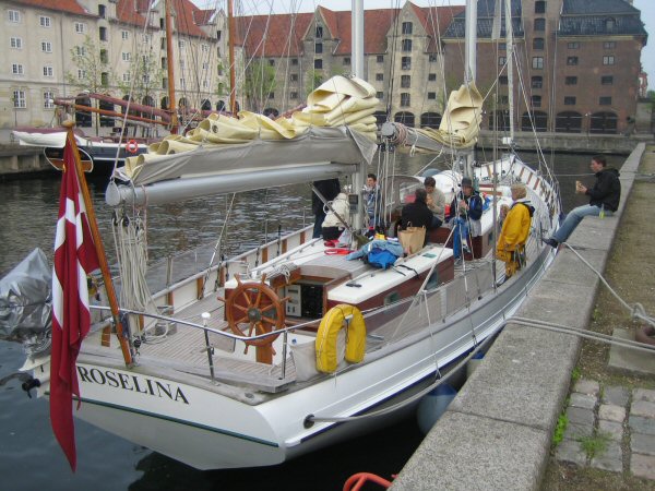 Roselina i København 020