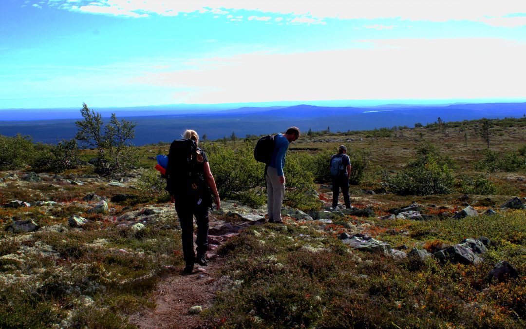 Fulufjället för långvandrare och barnfamiljer