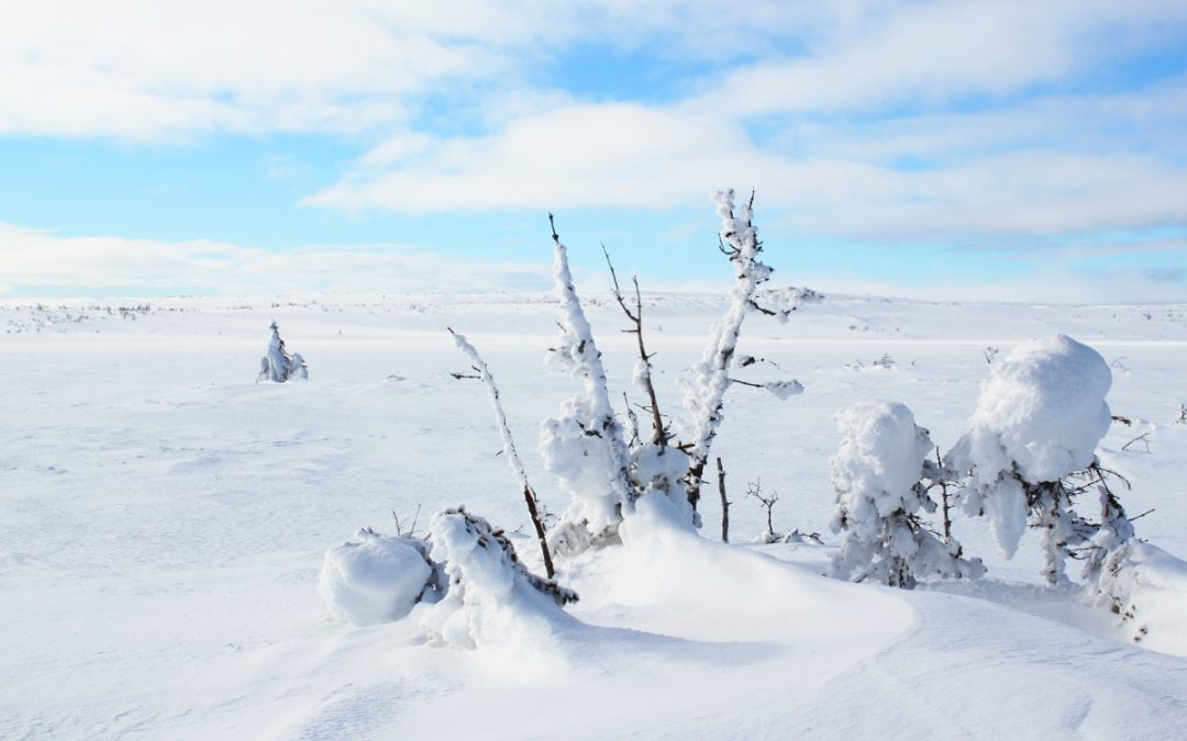 5 orsaker till att besöka Fulufjället vintertid / 5 reasons to visit Fulufjället in the vinter