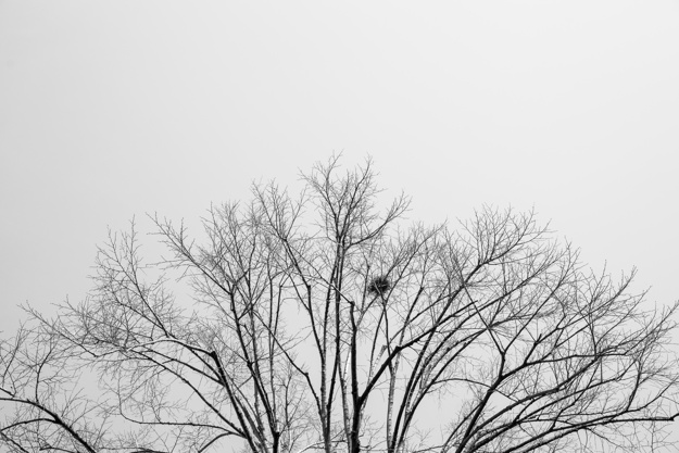 Using Sadness
