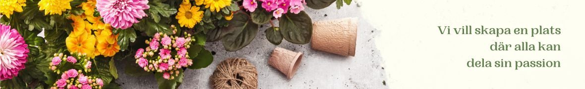 Rotfrukten_banner_1180×180_blummor Rotfrukten_banner_1180×180_blummor