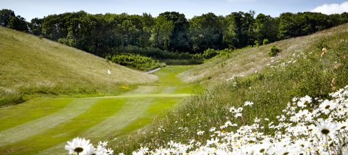 6th Hole, Royston Golf Club