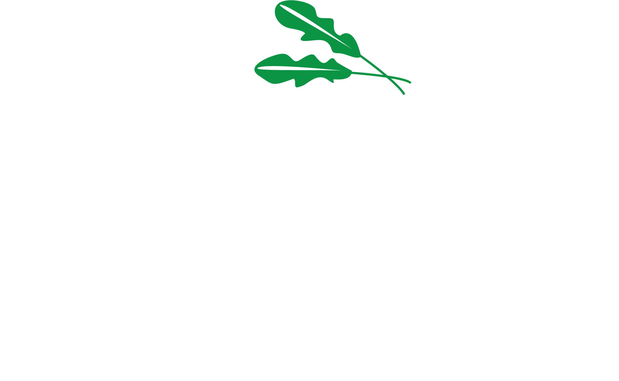 Ruccola Åkersberga