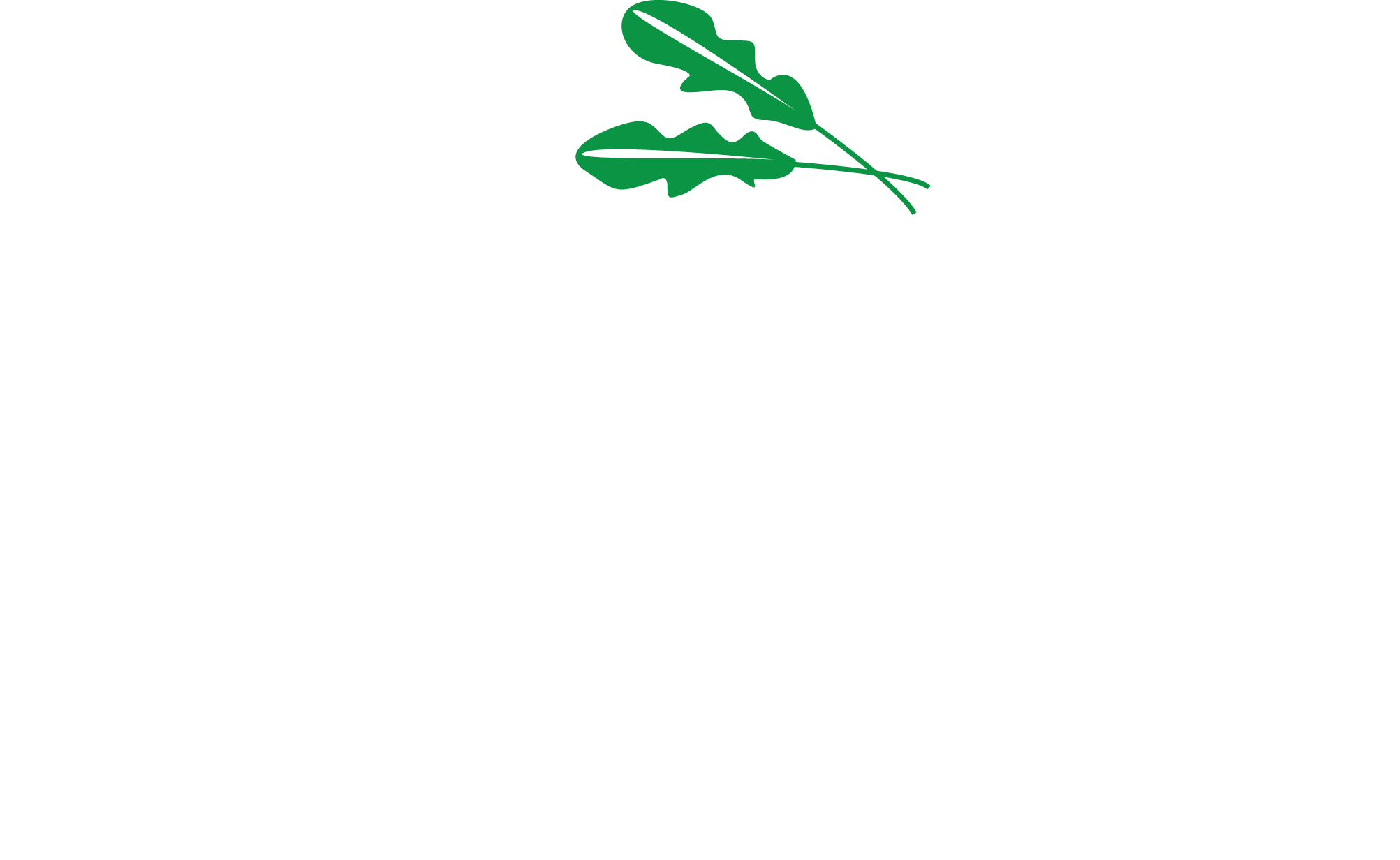 Ruccola Bromma