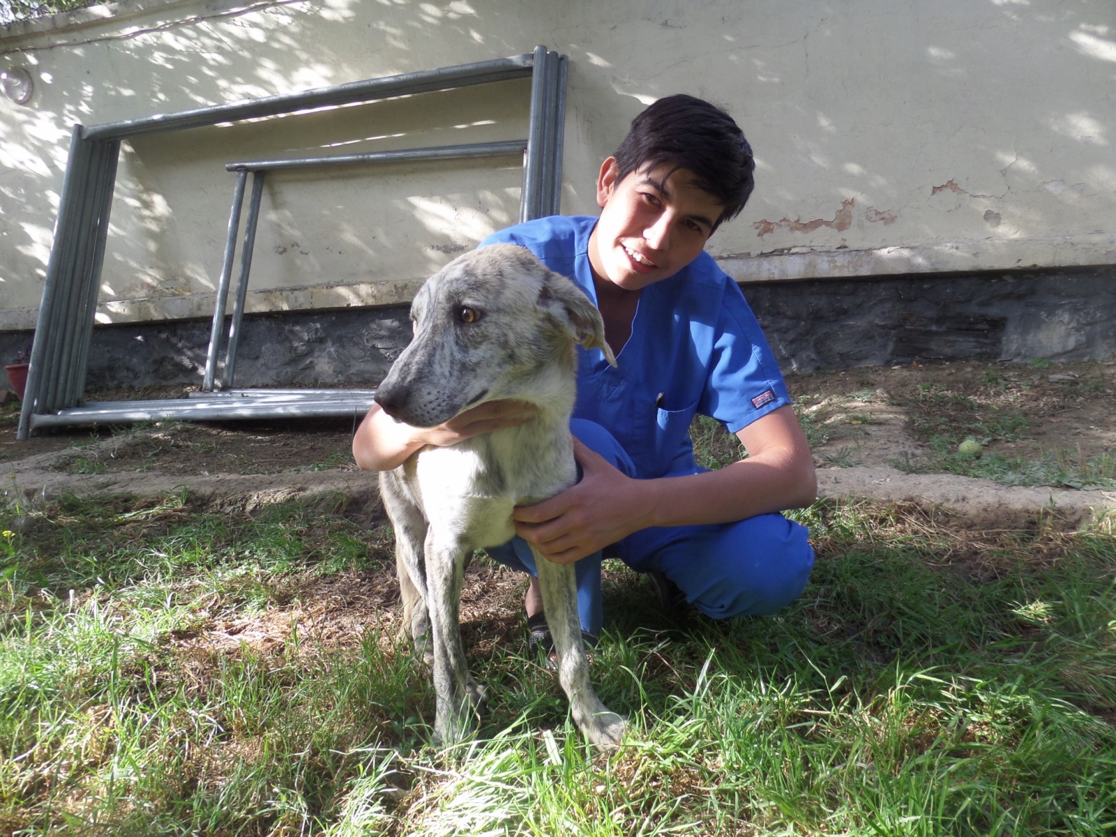 Dog Addicted To Heroin Is Saved By The Sweetest Vet