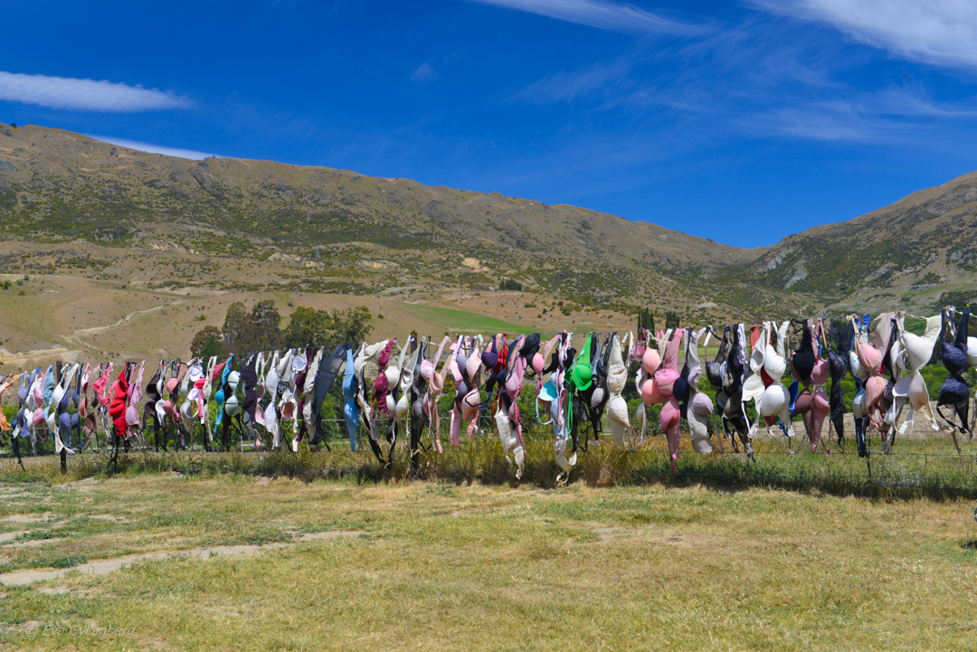 On the way to Wanaka