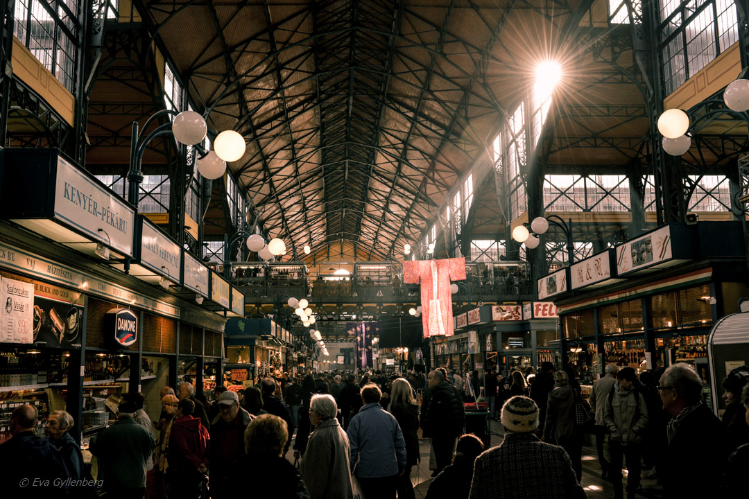 Saluhallen i Budapest