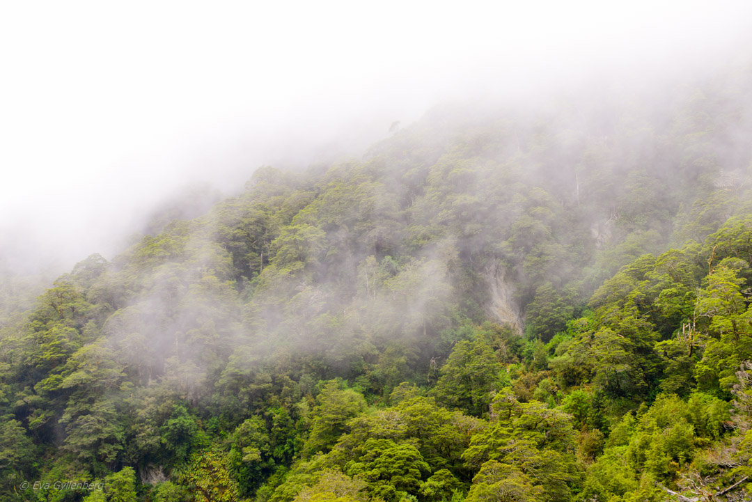 Mount Aspiring