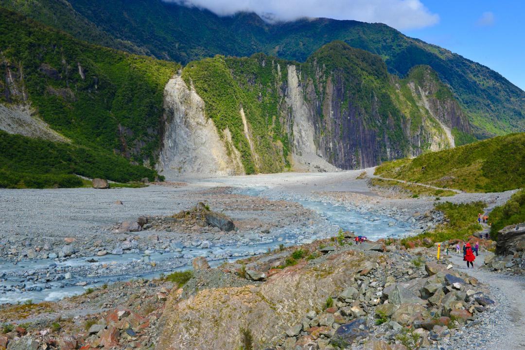 Fox Glacier