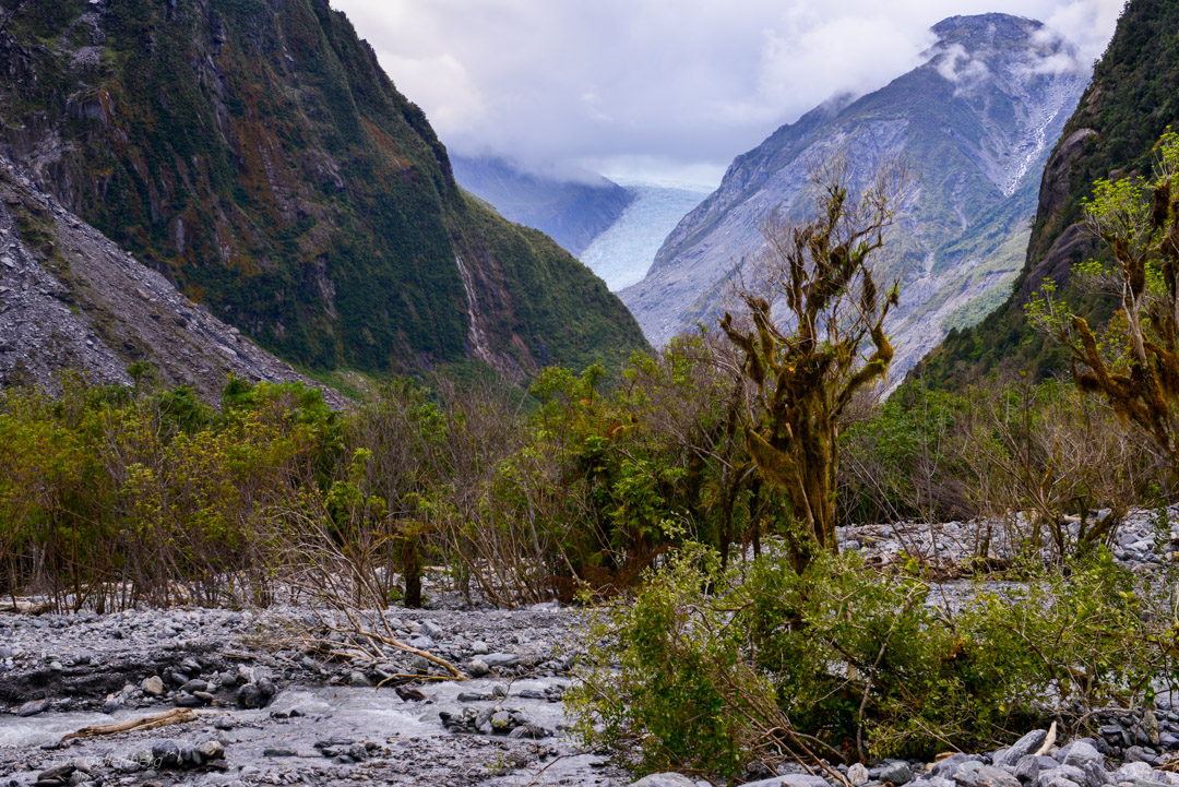 Fox Glacier