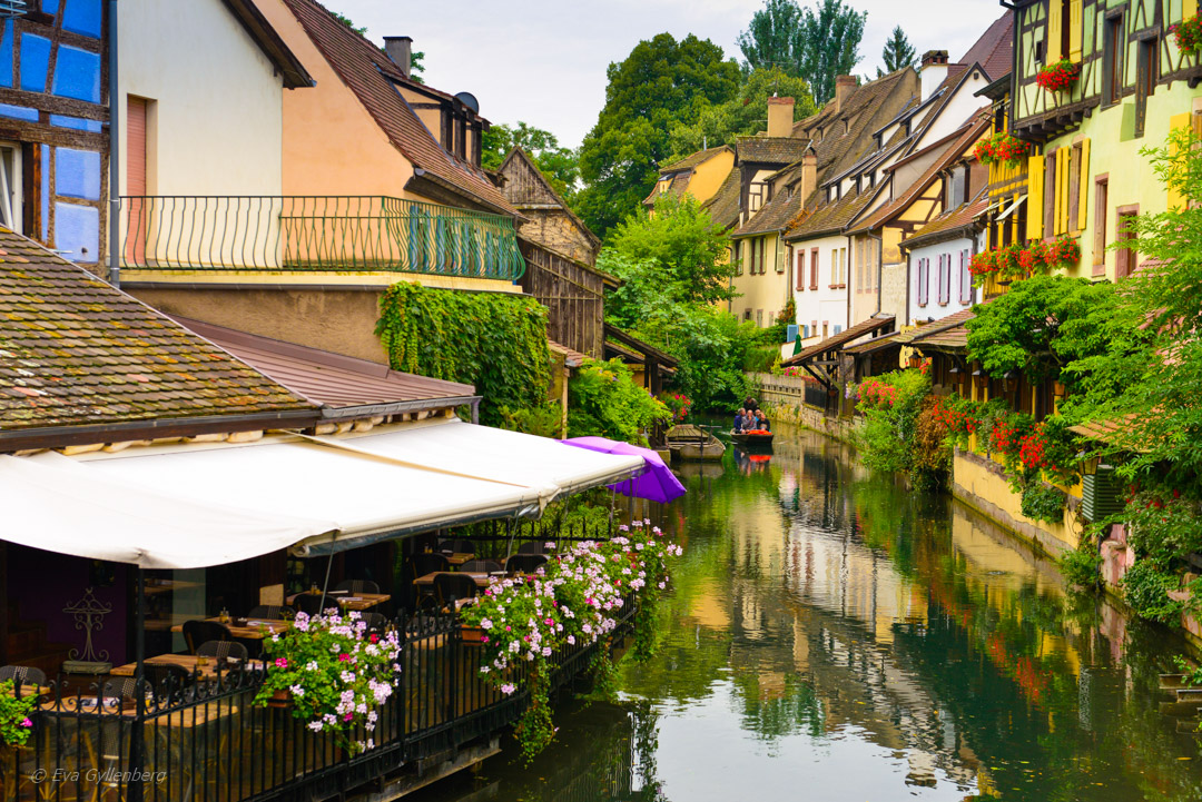 Colmar