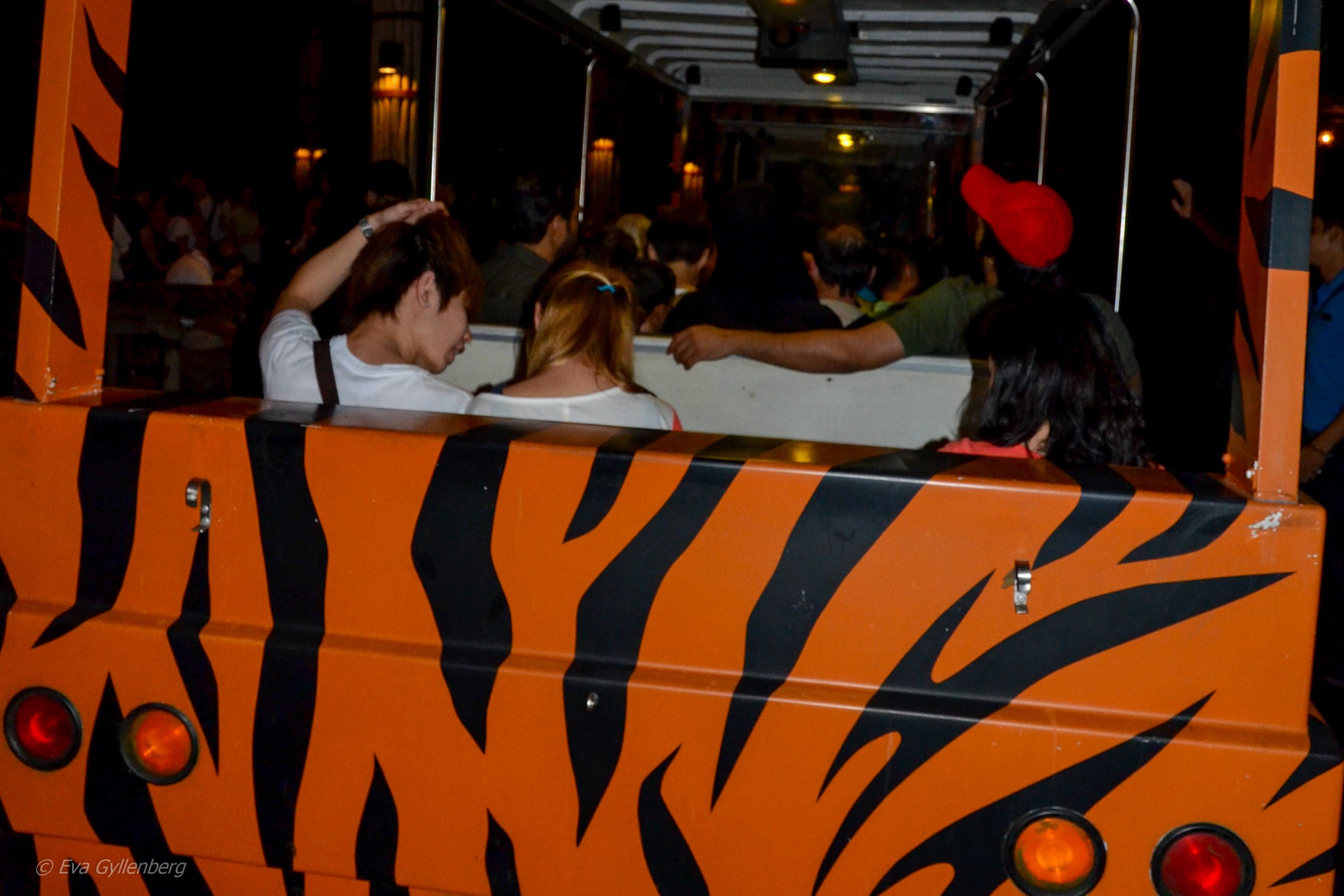 Night Zoo - Singapore