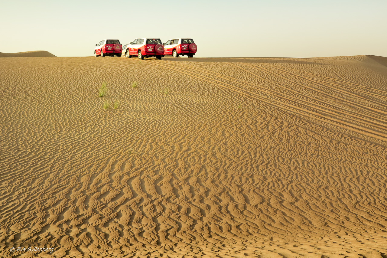 Dune bashing i öknen - Dubai - UAE