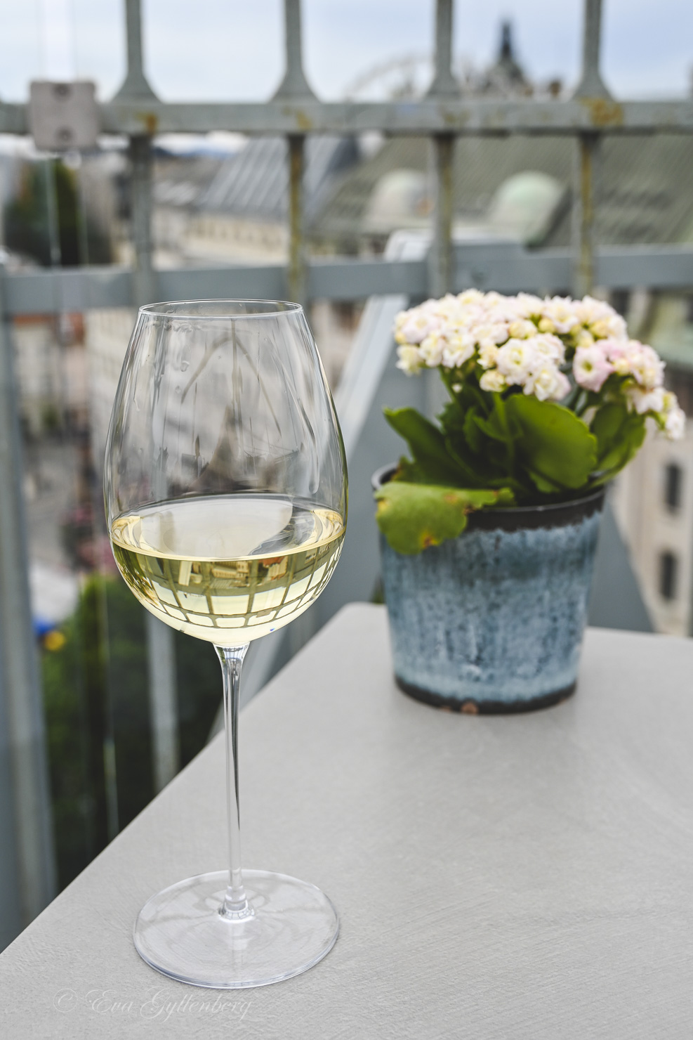 Wine glasses with Hungarian wine on a rooftop bar