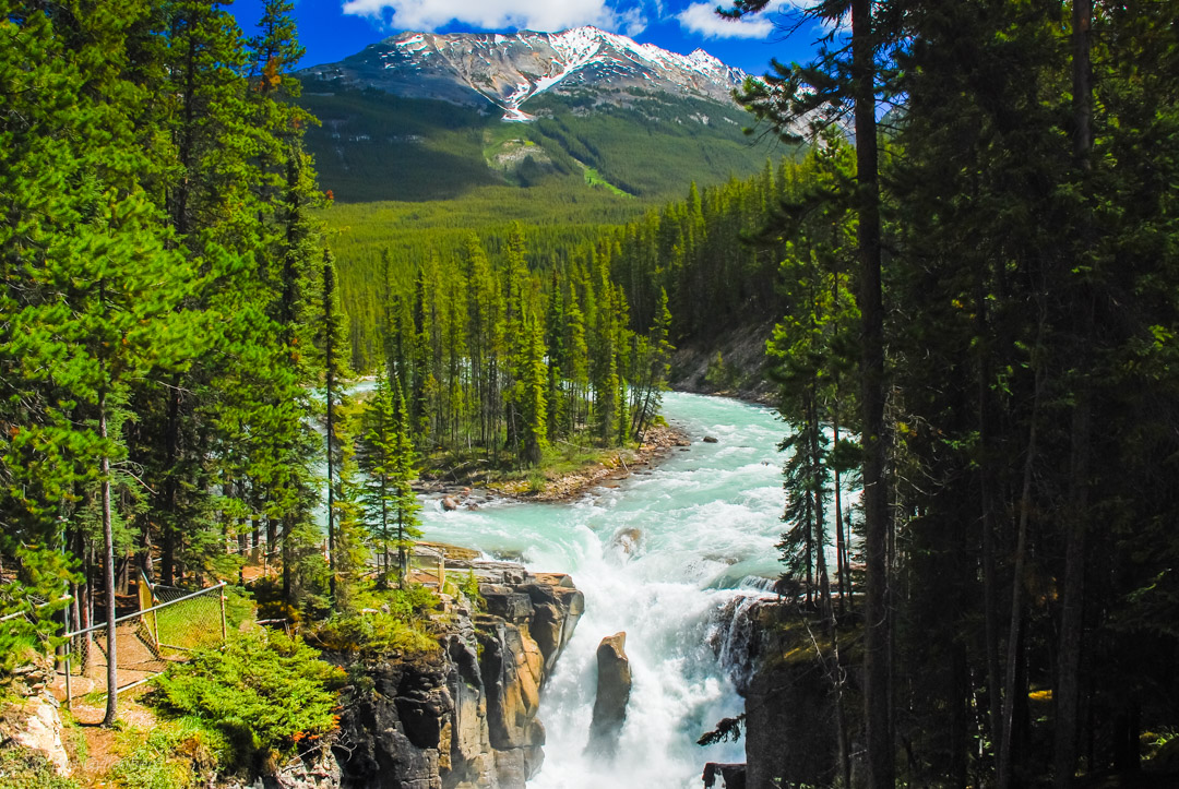 Sunwapta falls