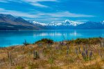 Mount Cook and a sheep farm - Travel diary New Zealand day 12