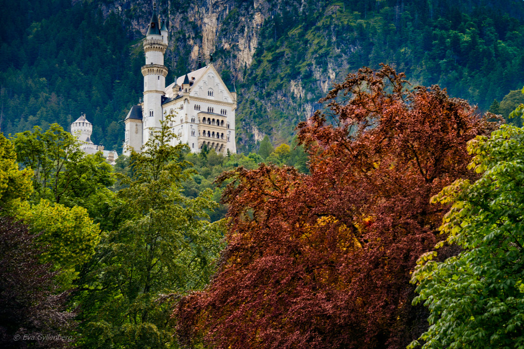 fairytale castle on a hill surrounded by trees in autumn colours