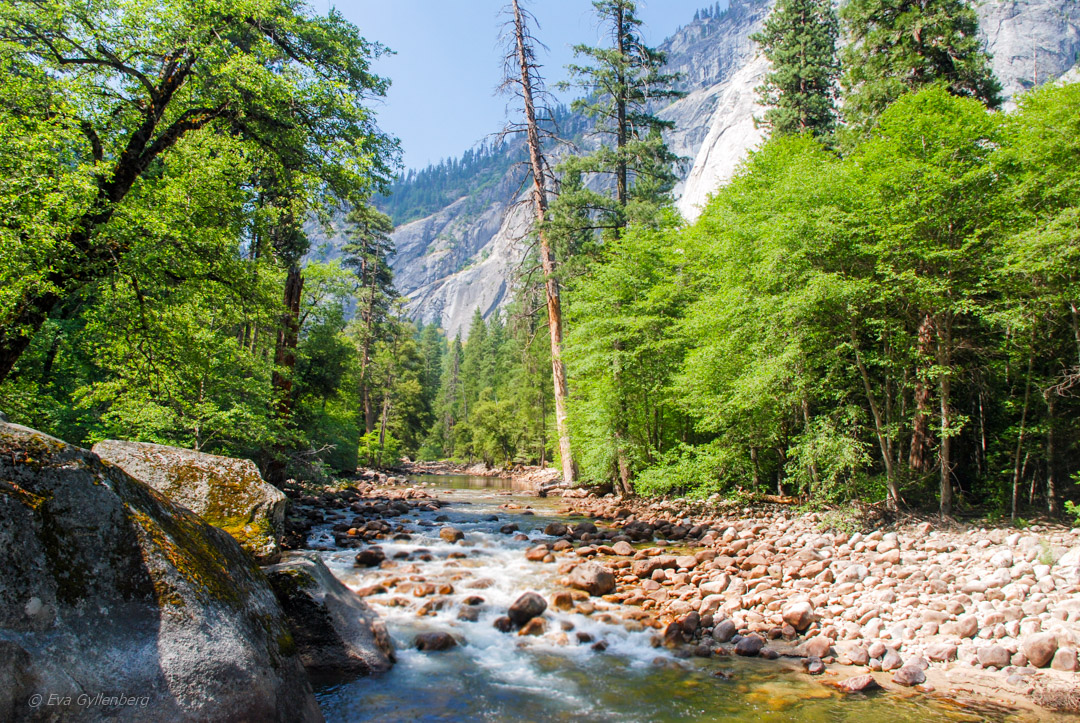 Yosemite National Park with flowing streams