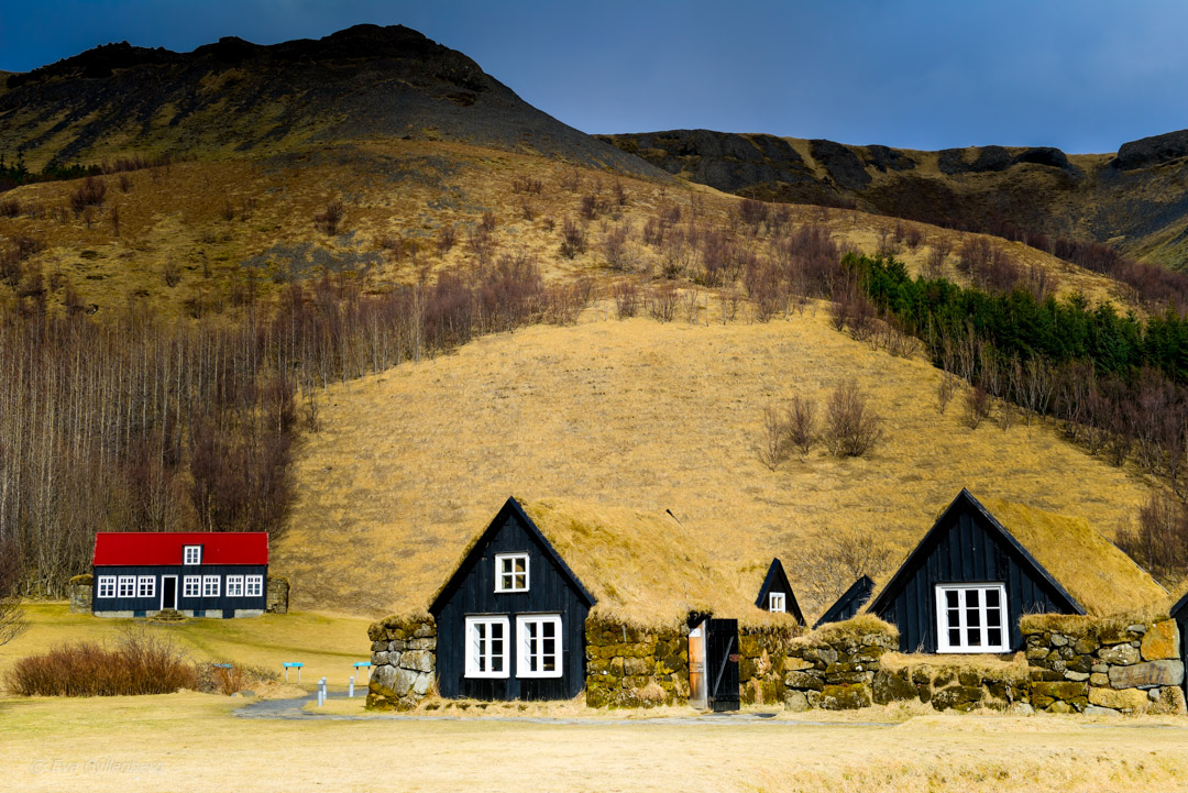 Island- Skogar museum - Dagsutflykt från Reykjavik till Vik