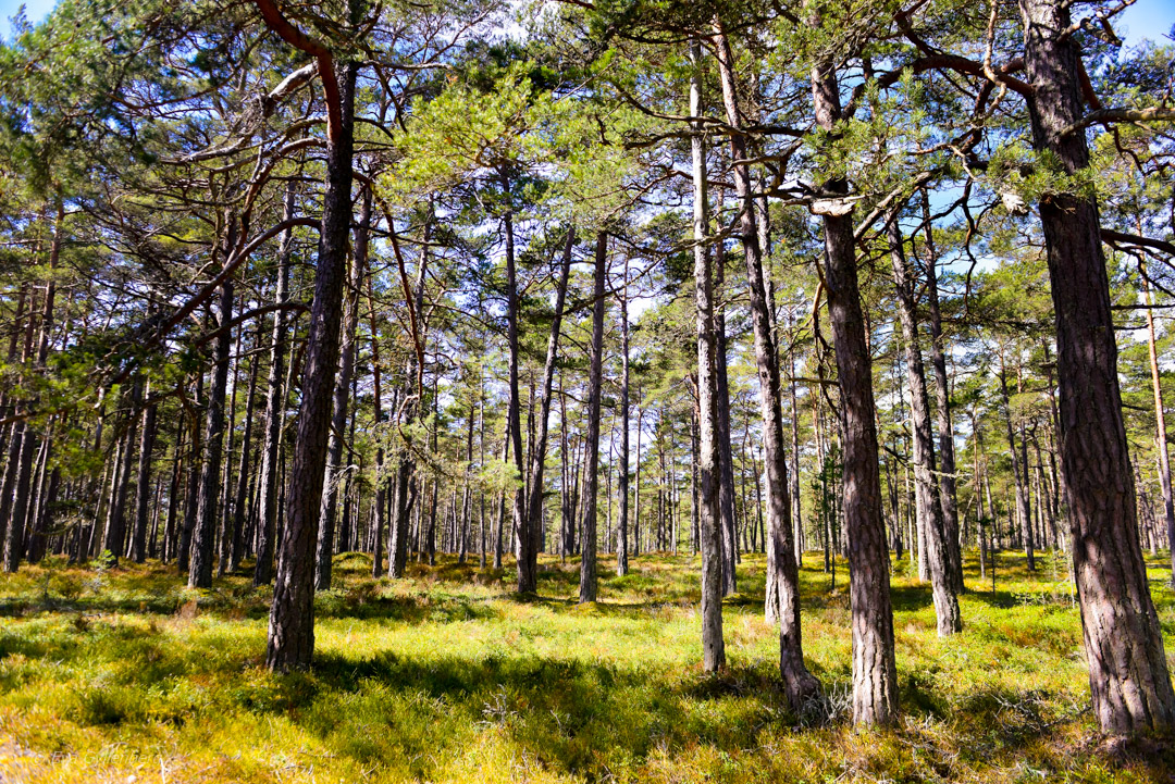 Sandhamn - Sand Island