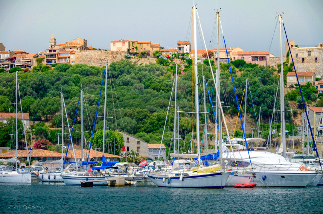 Ponte Vecchio - Corsica