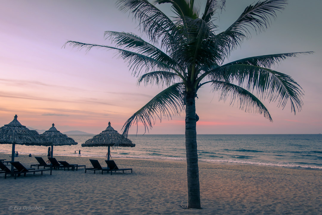 The beach outside Hoi An, Vietnam