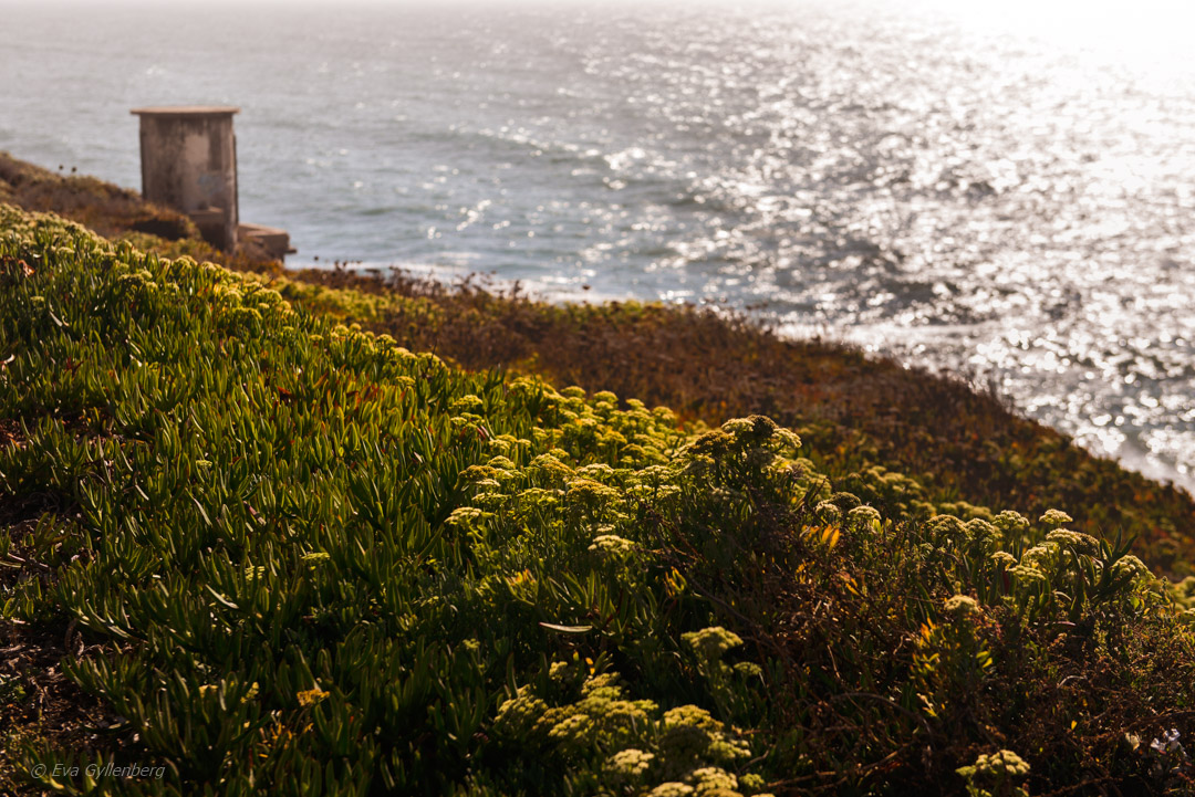 Azenhas Do Mar - Portugal