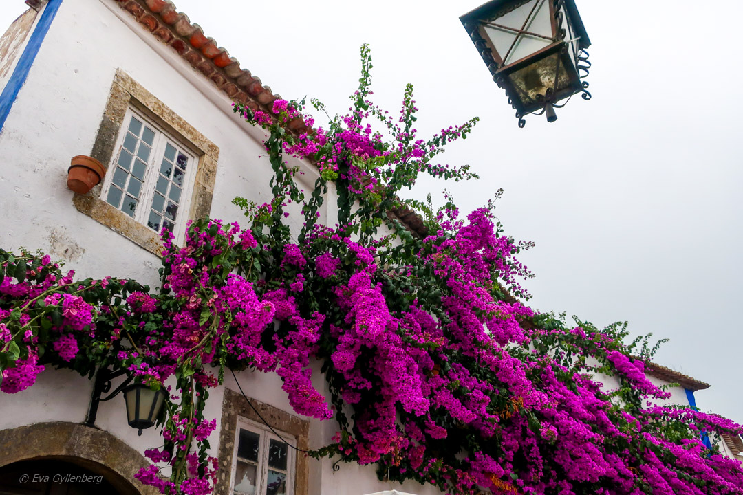 Obidos i Portugal