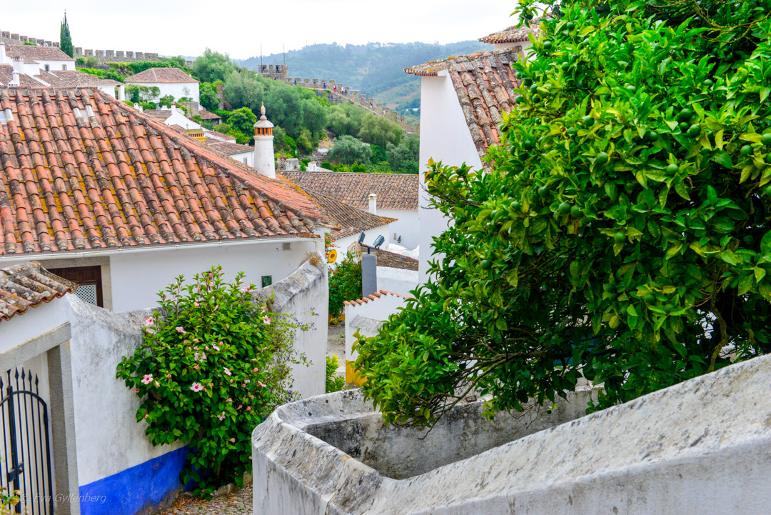 Obidos i Portugal