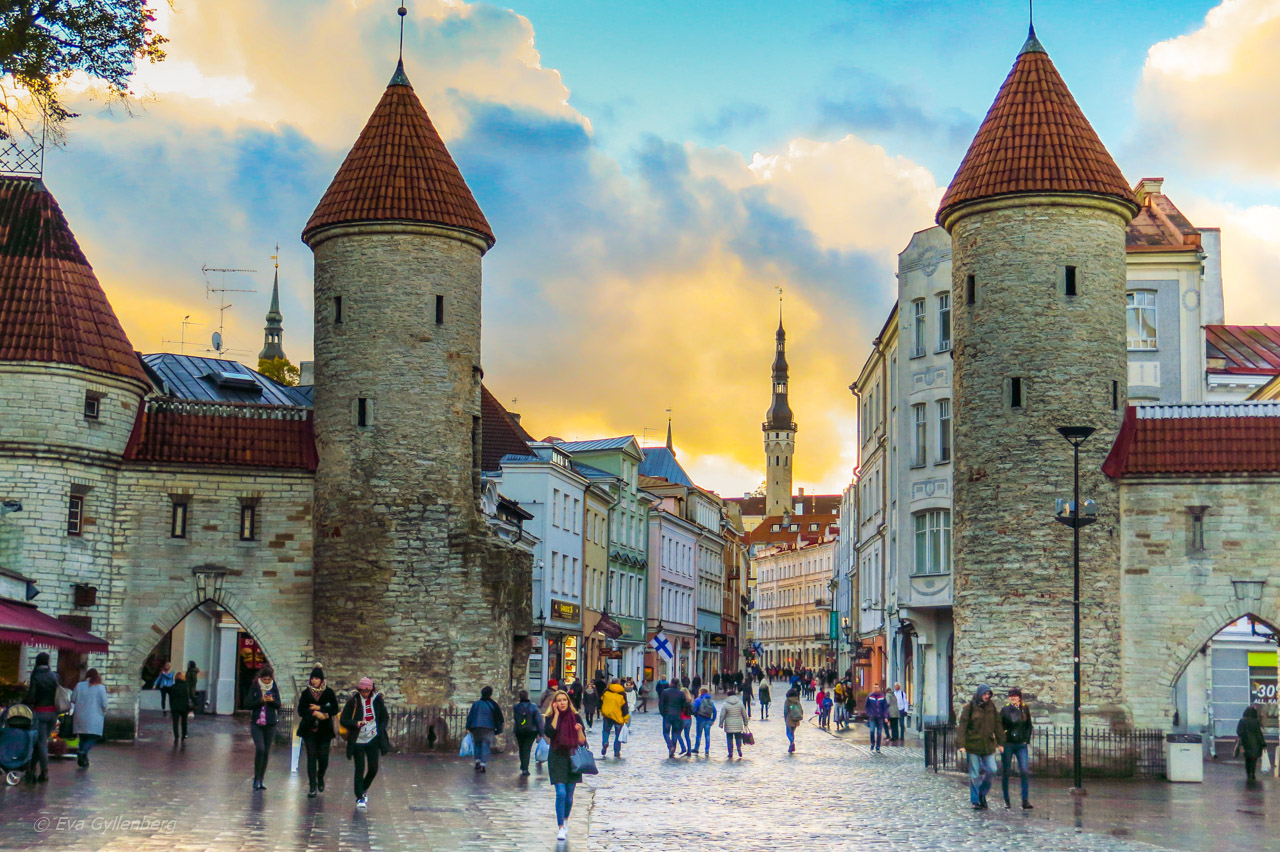 The virus gate - Tallinn