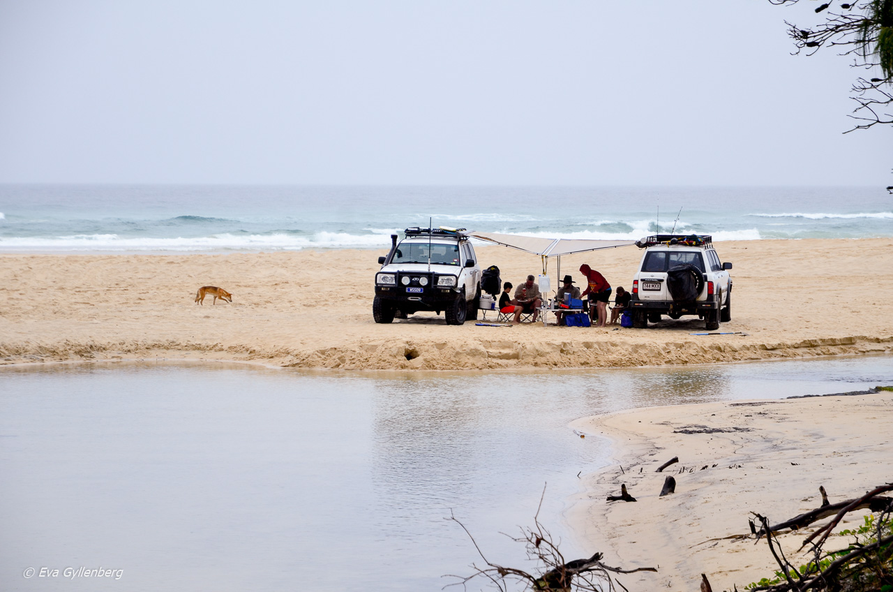 Fraser Island - Australia 