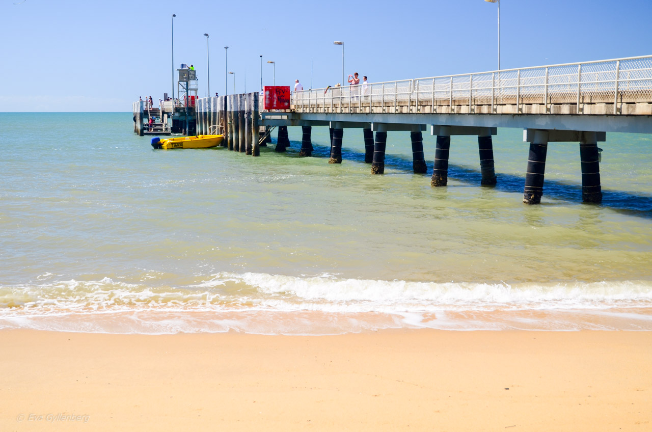 Palm Cove - Cairns - Australien