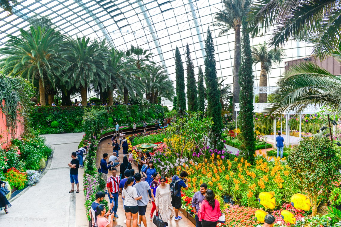 Gardens by the bay i Singapore 