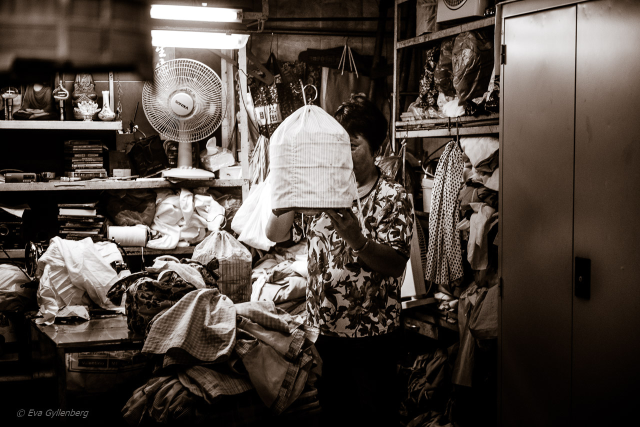 Hong Kong Bird Market