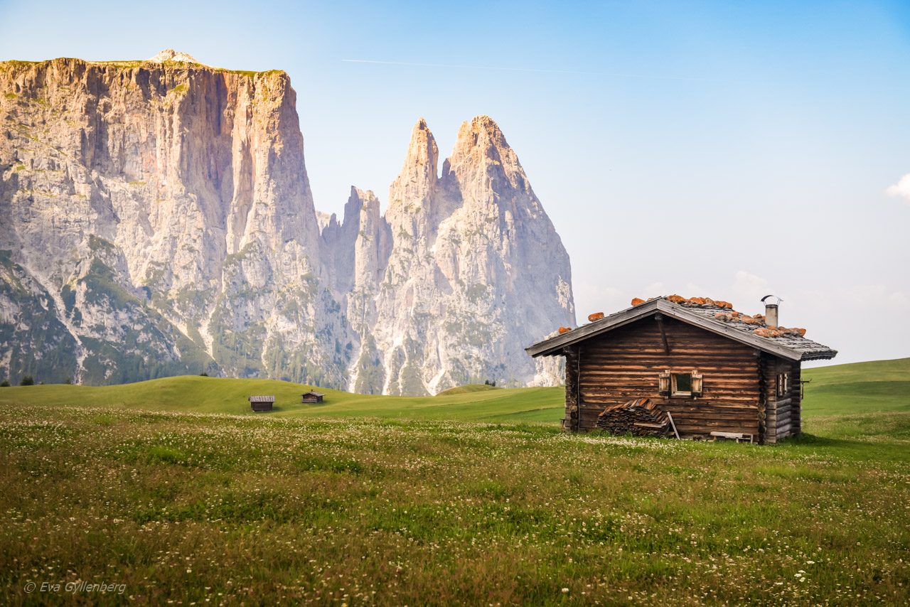 Seiser Alm - Dolomiterna - Italien