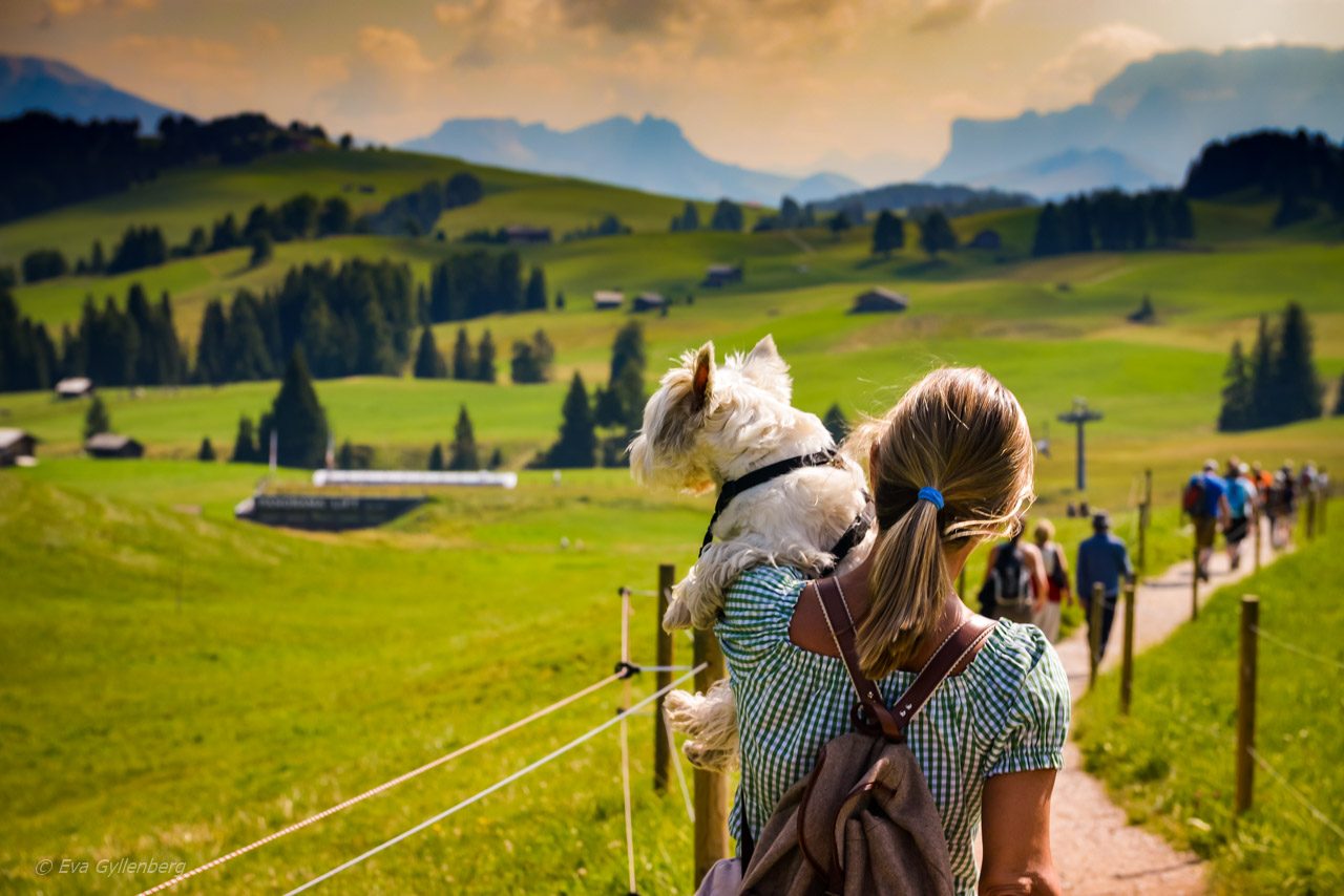 Seiser Alm - Dolomiterna - Italien