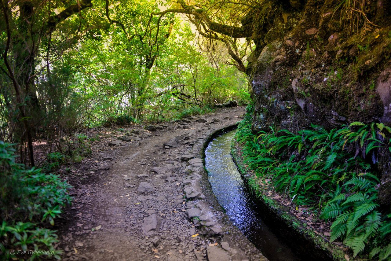 Levadavandring - Rabacal - Madeira