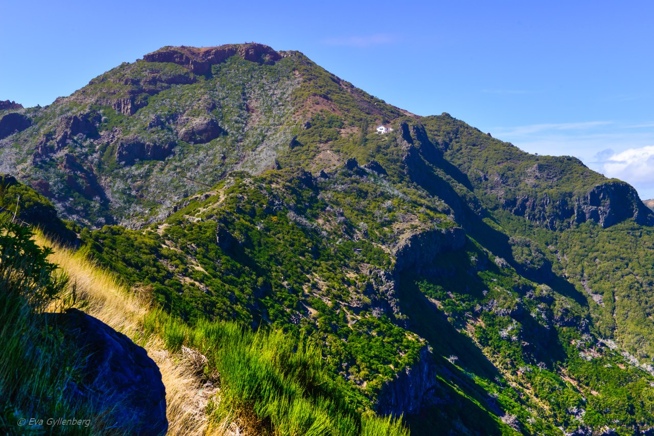 Pico Ruivo - Madeira