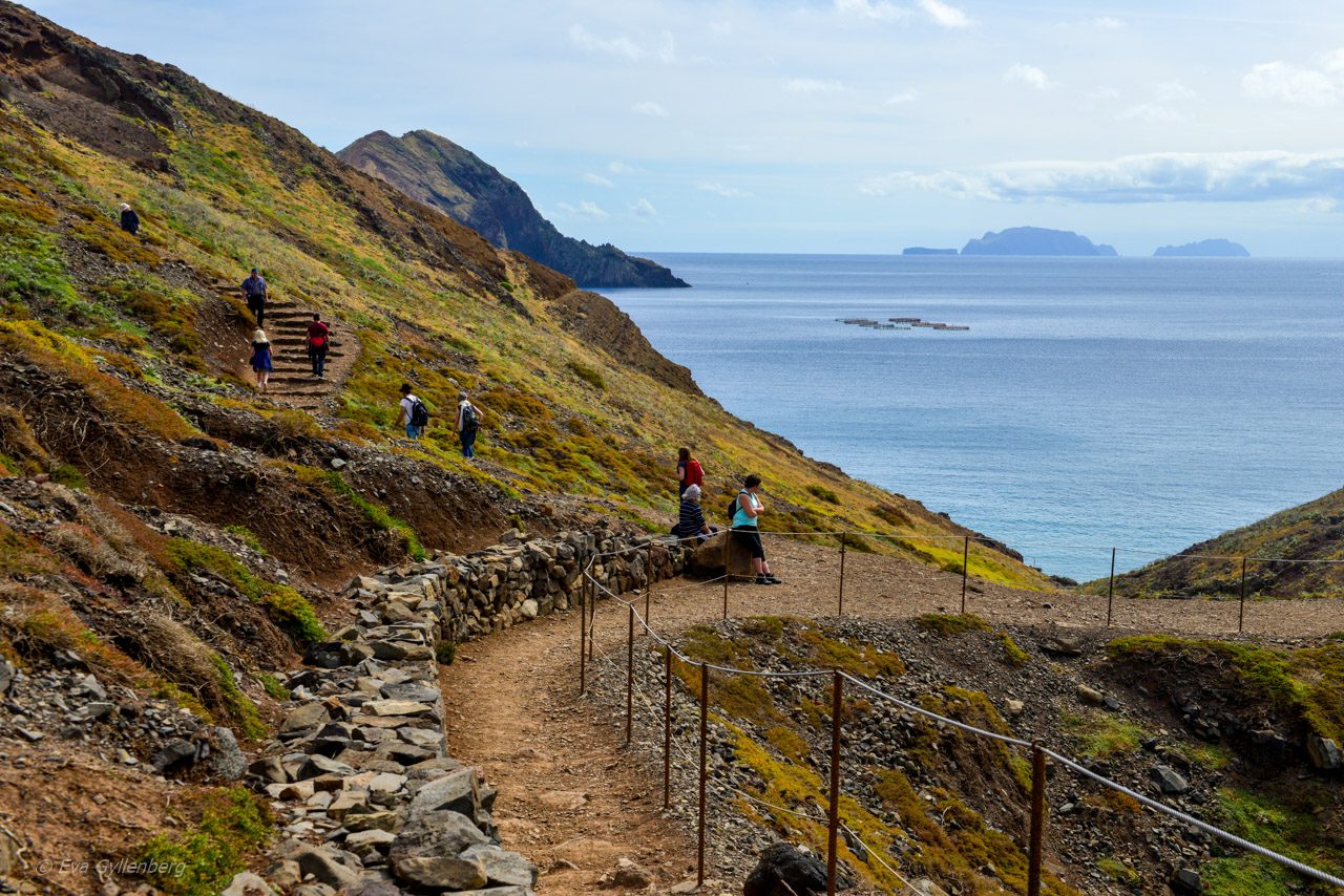 Ponta de Sao Lourenco - Madeira