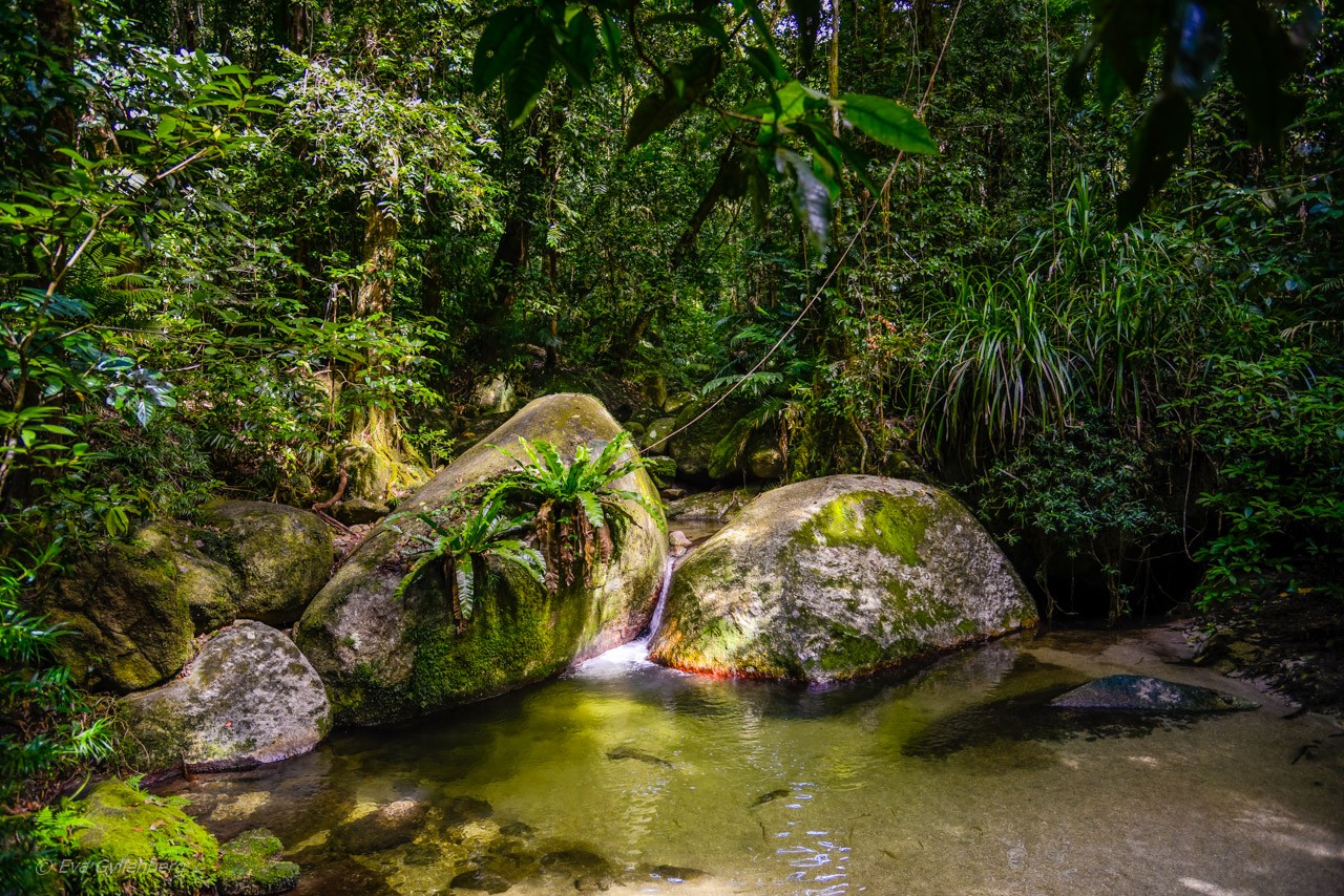 Mossman Gorge - Queensland - Australien