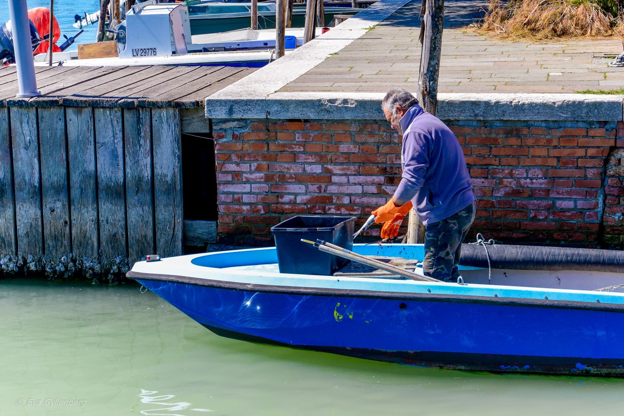 Fiskare på Burano - Venedig - Italien