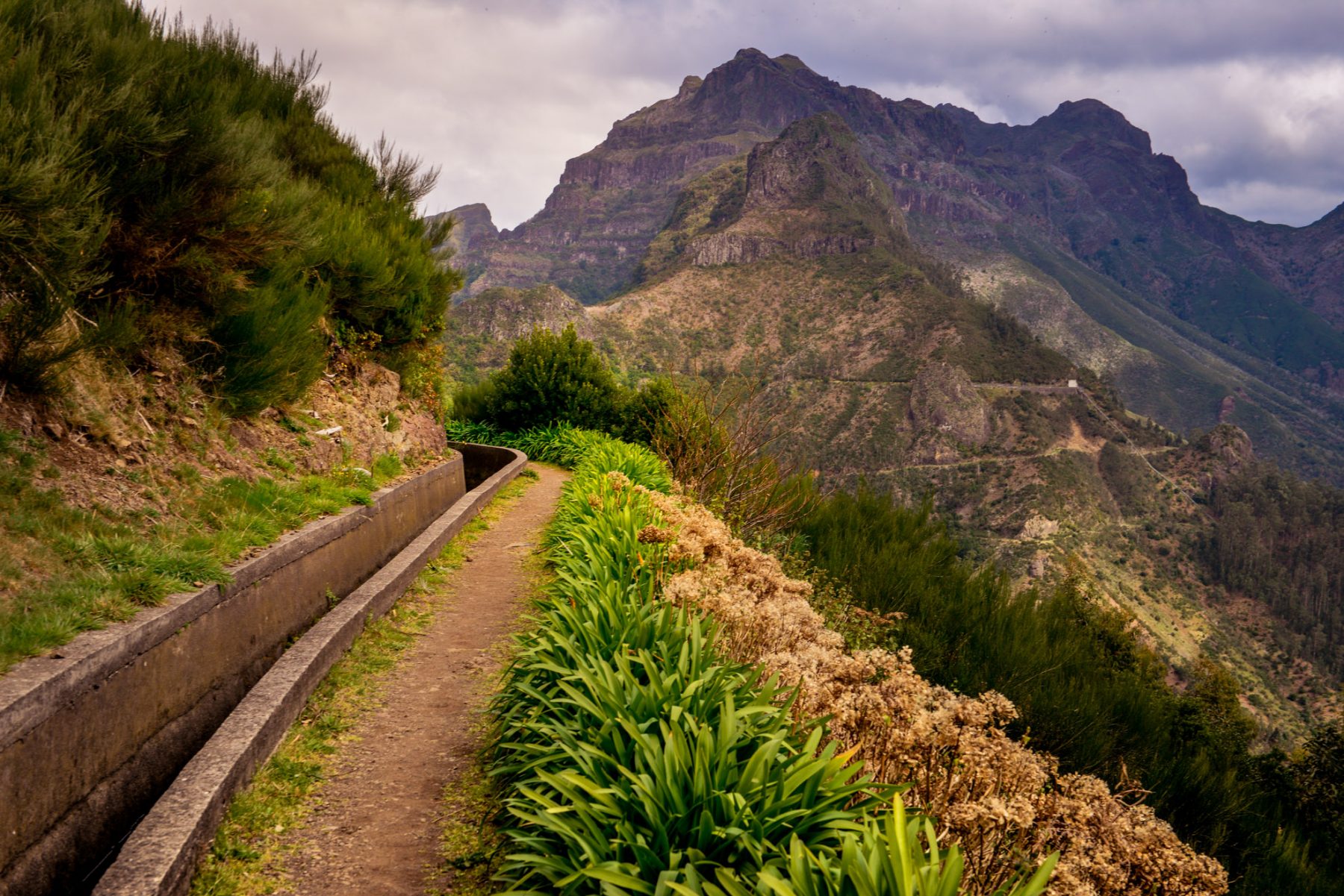 Levada hiking in Madeira