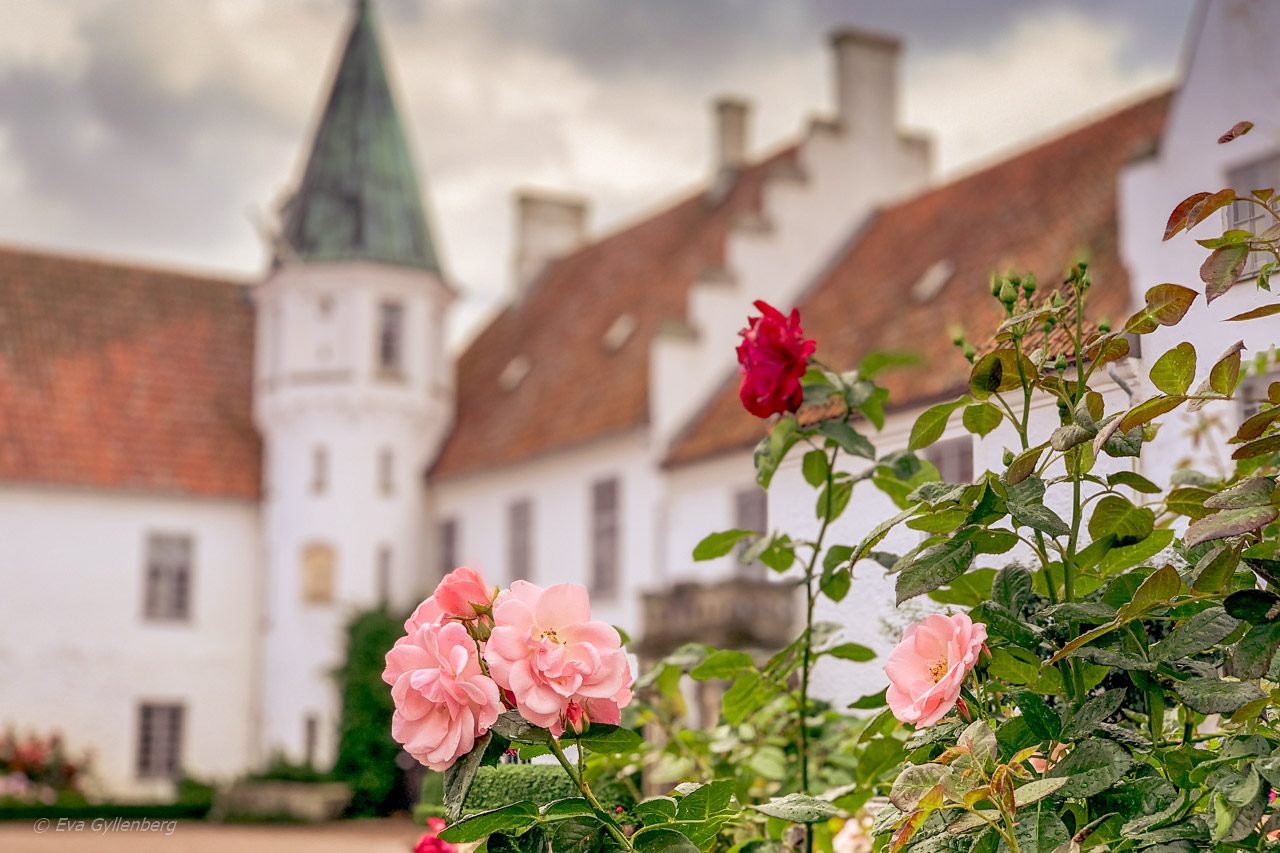 Bosjökloster - Skåne