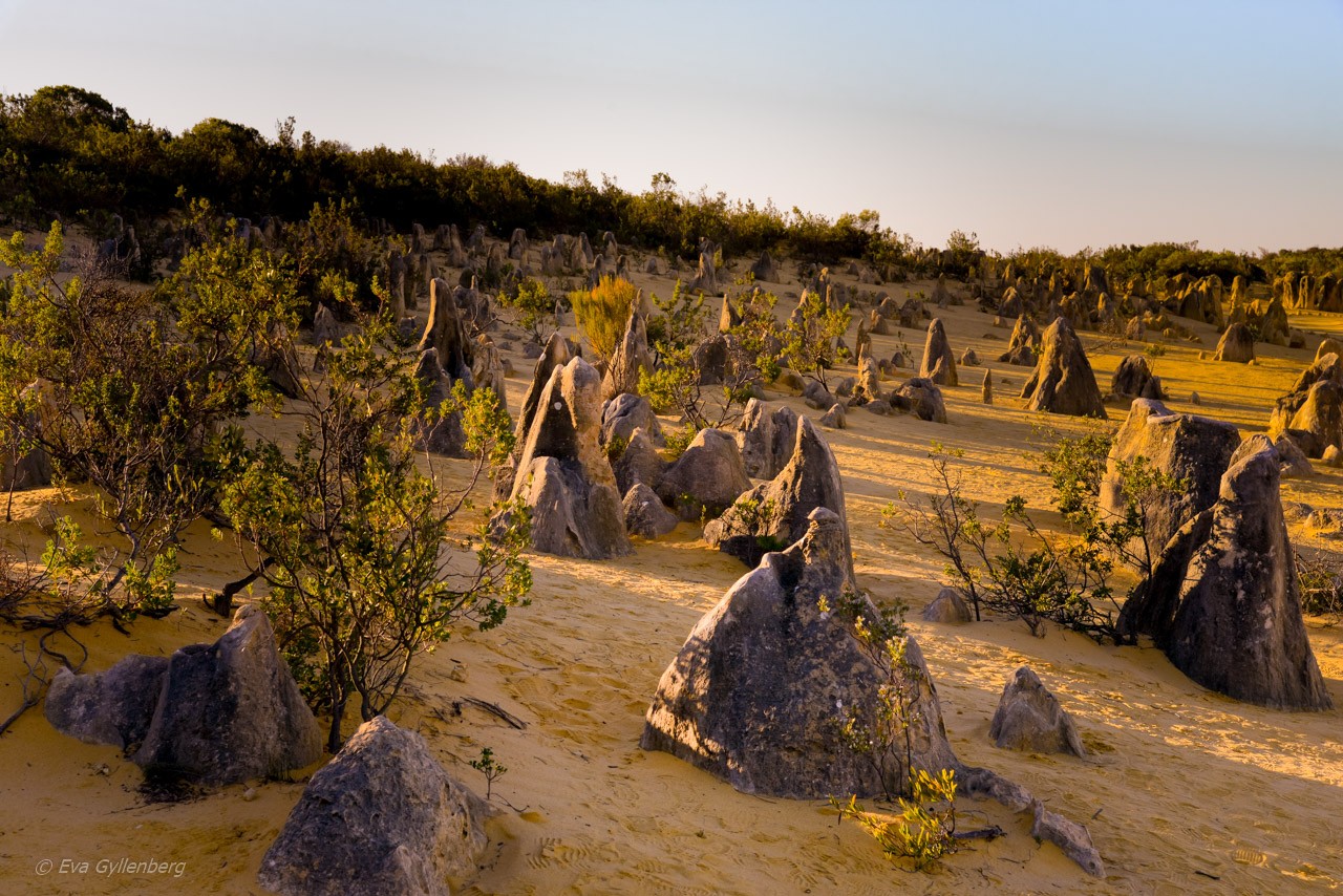 Pinnacles desert - Australia