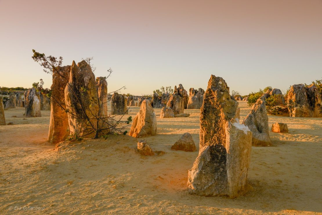 Pinnacles desert - Australien