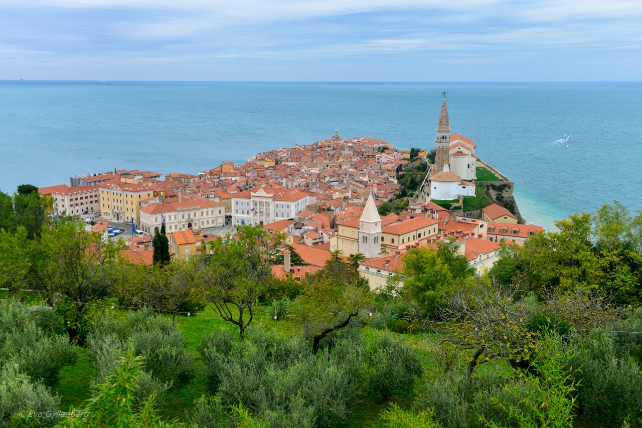 Piran - a travel tip for Slovenia
